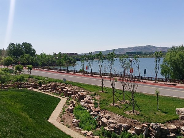 草坪養(yǎng)護管理技術措施